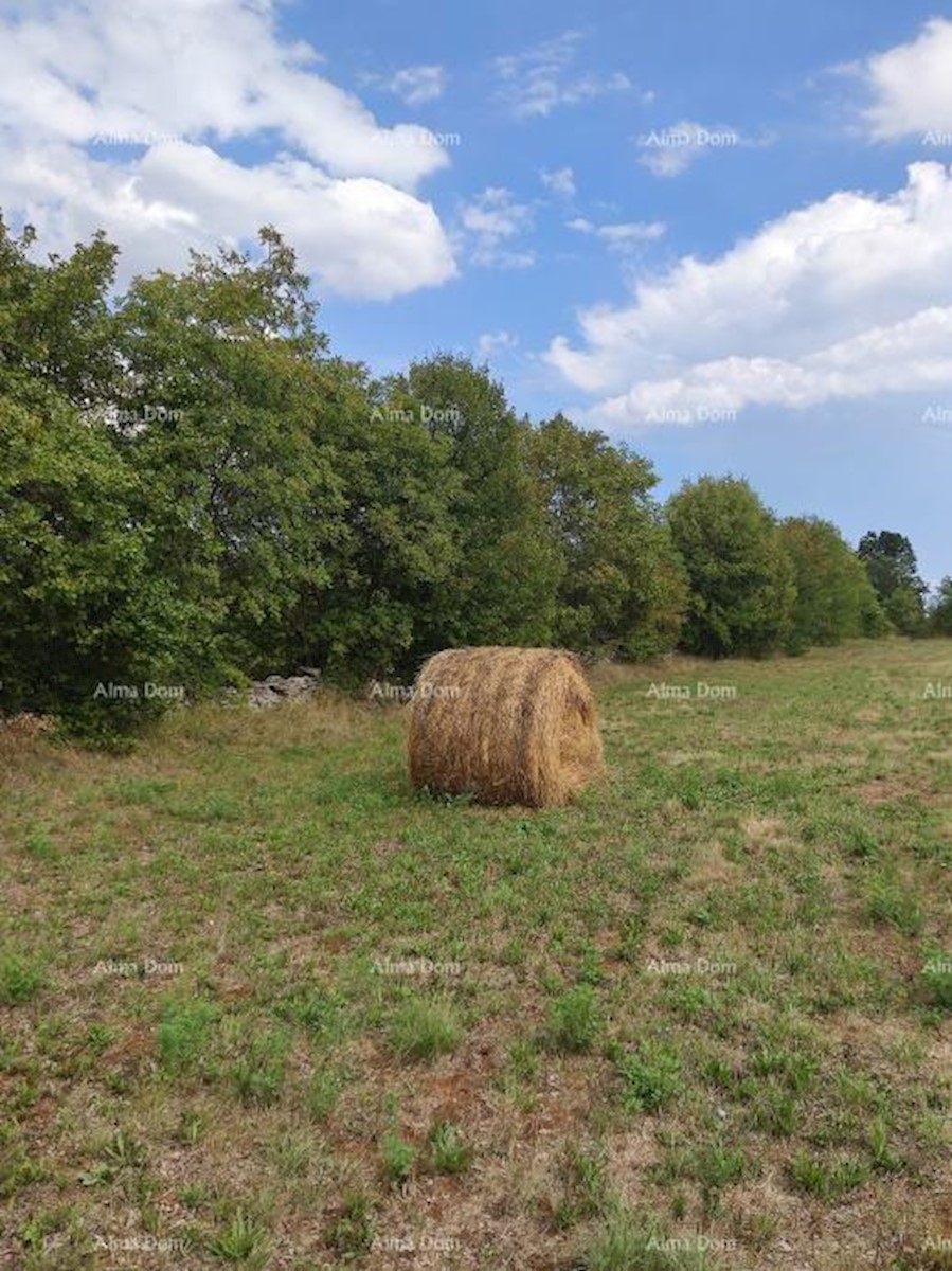 Zazidljivo zemljišče, Filipana.