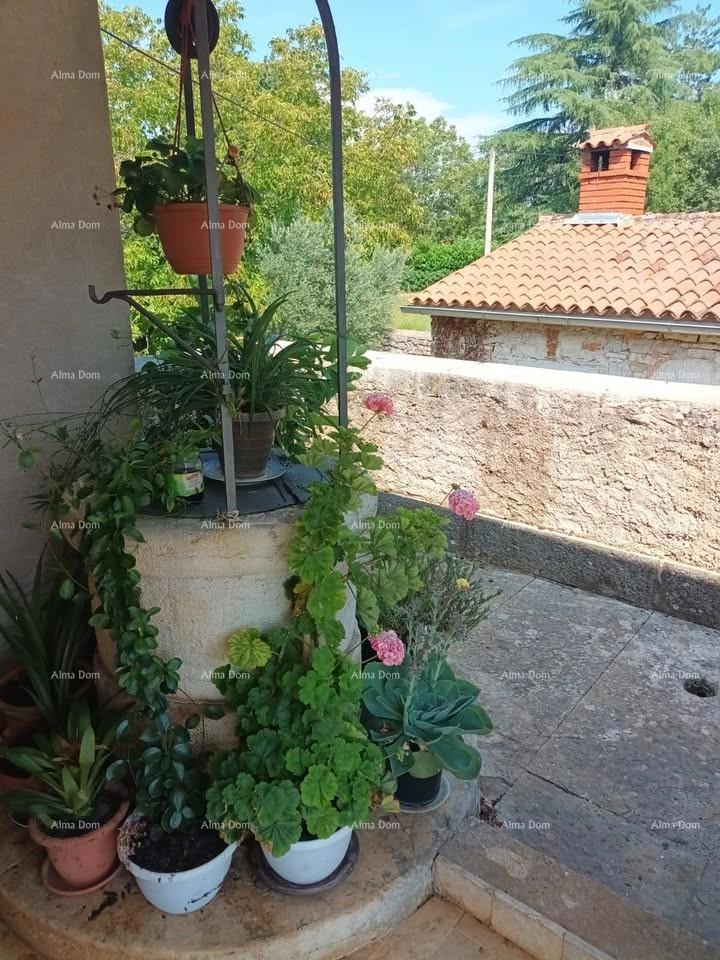 Prodamo avtentično staro kamnito hišo v Stranićih, Sveti Lovreč.
