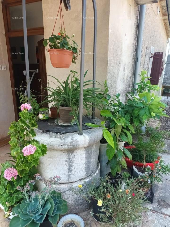 Prodamo avtentično staro kamnito hišo v Stranićih, Sveti Lovreč.