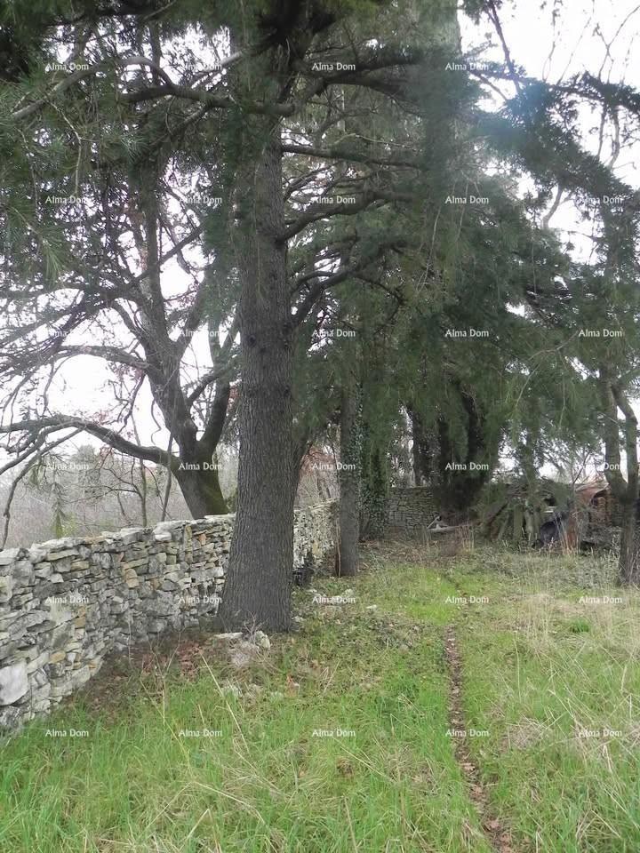 Gradbeno zemljišče Kanfanar