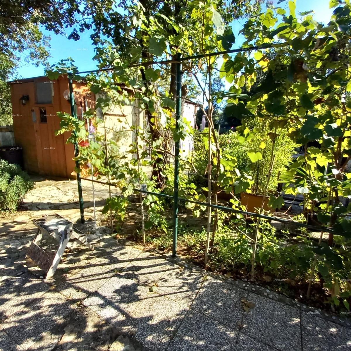 MEDULIN – AVTENTIČNA ISTRSKA HIŠA (KAŽUN) Z VRTOM, 600 M OD MORJA