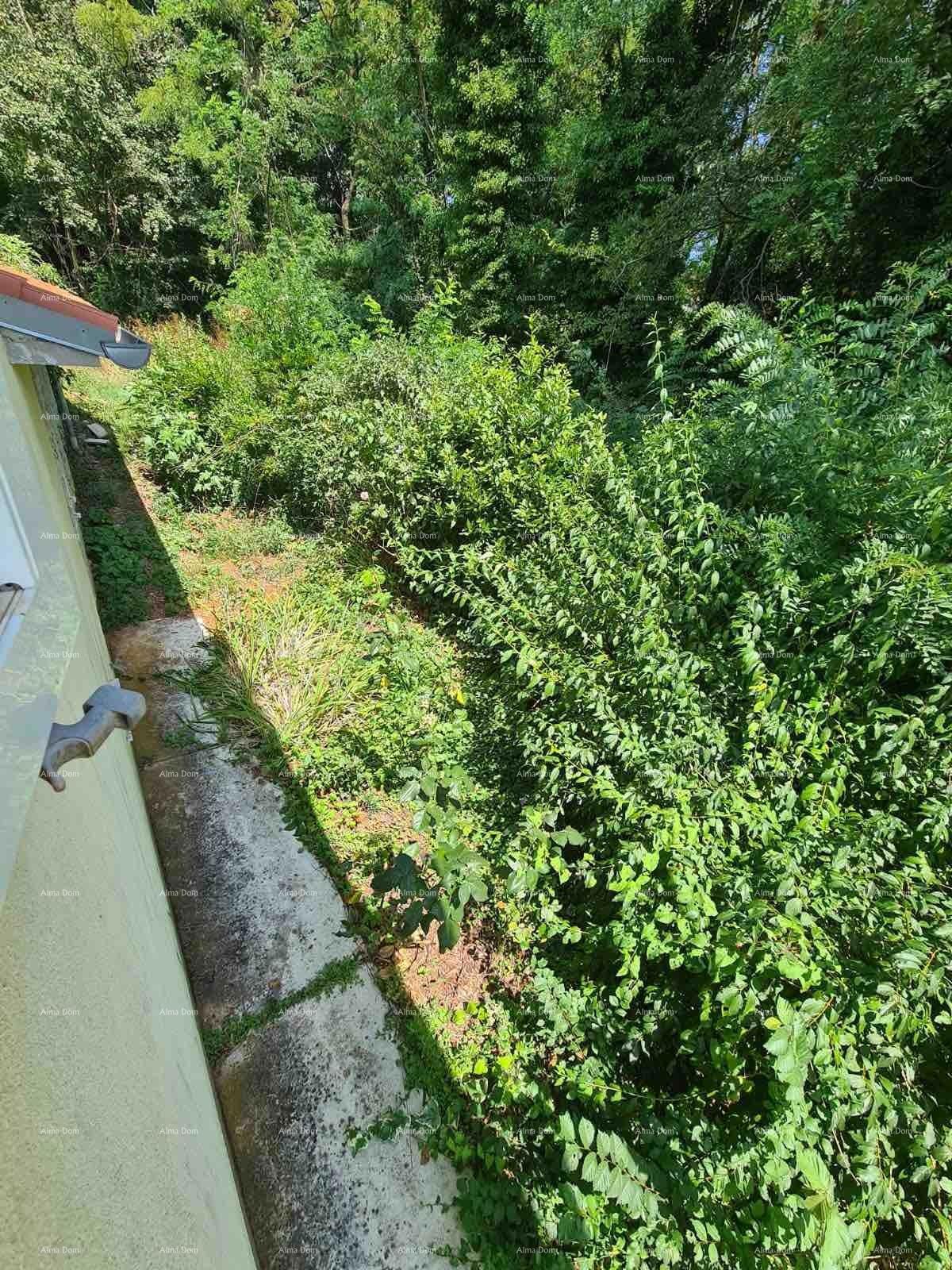 Prodaja hiše z dvoriščem in velikim zemljiščem, Barban