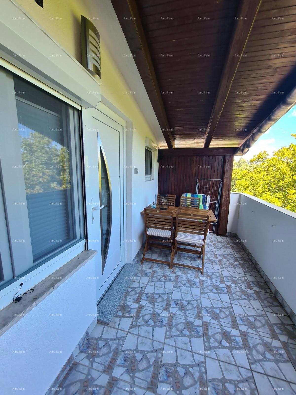 Hiša z dvema apartmajema na prodaj, Pavićini!
