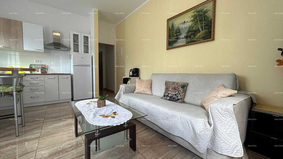 Pula Veli vrh. Prodajamo hišo z več apartmaji in bazenom.