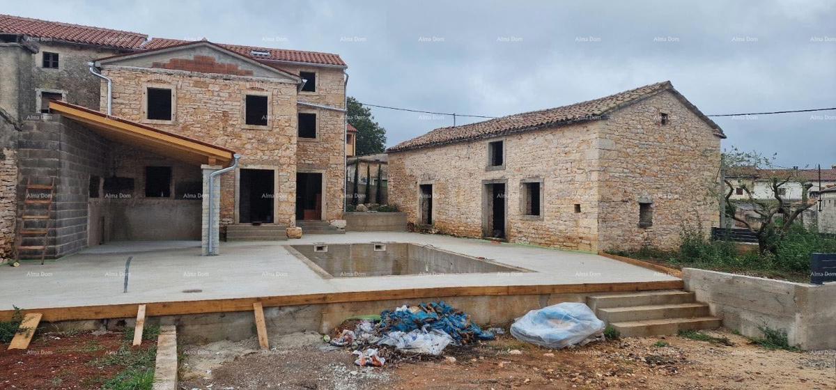 The translation of the title