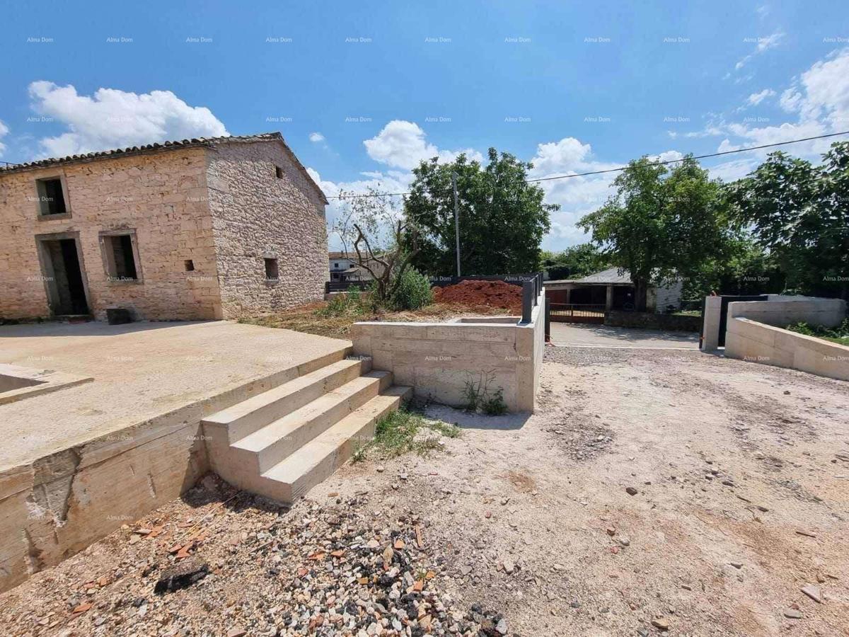 The translation of the title