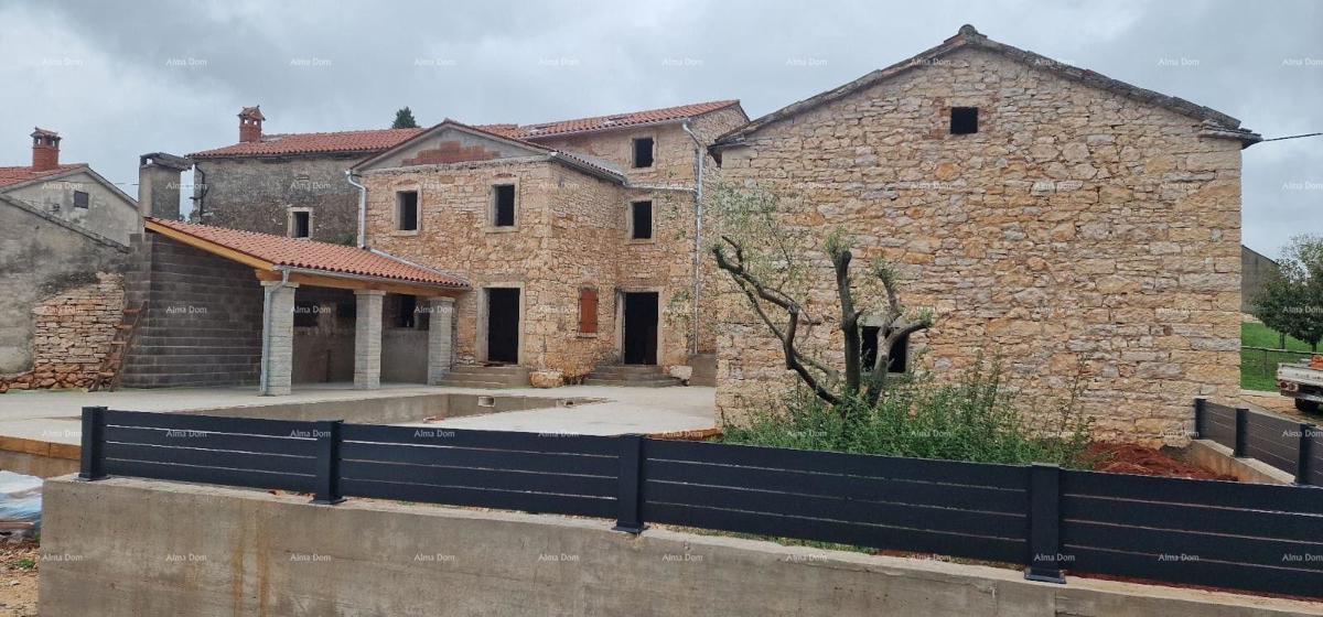 The translation of the title