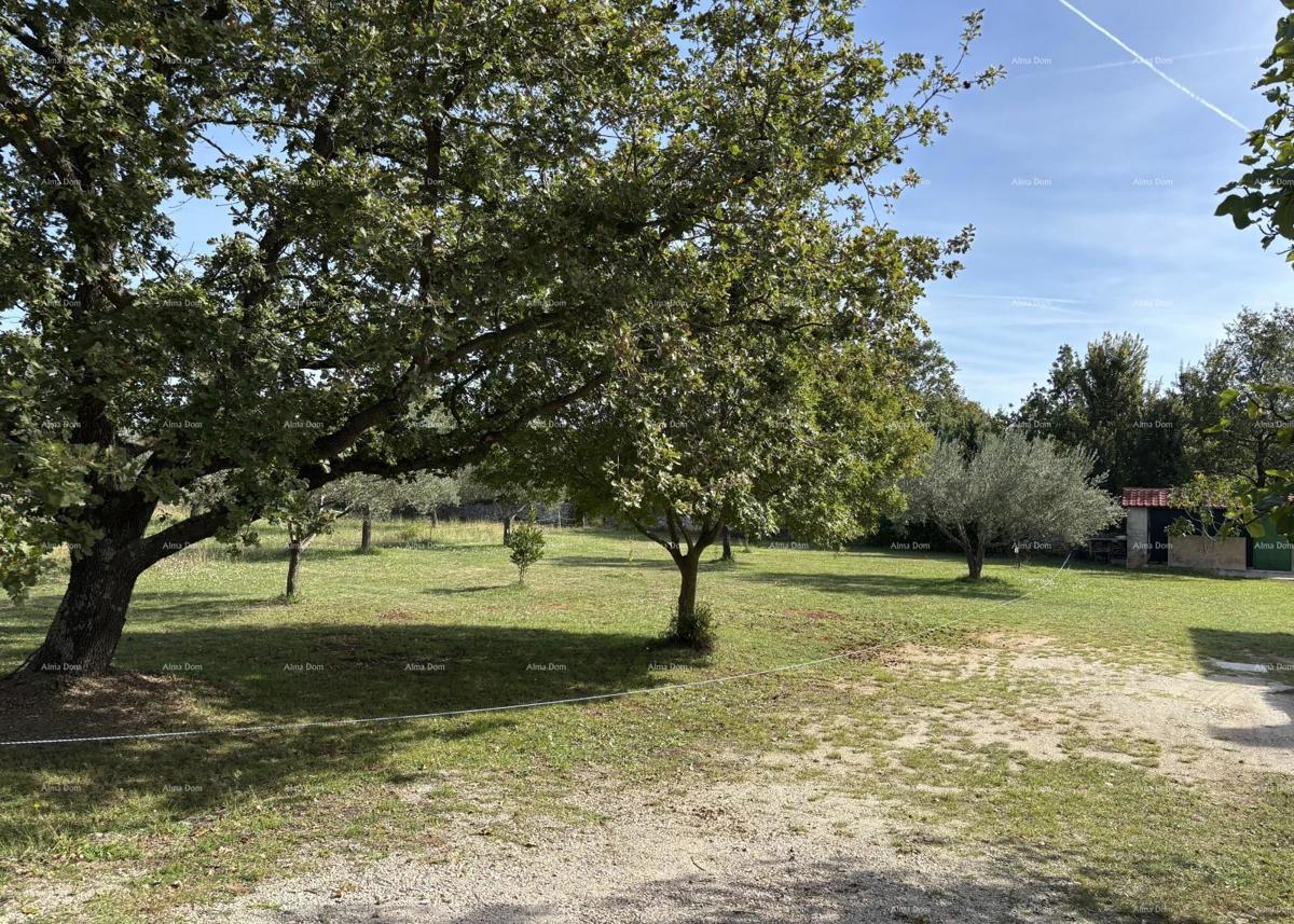 VODNJAN - Prodaja / gradbeno zemljišče približno 700 m2