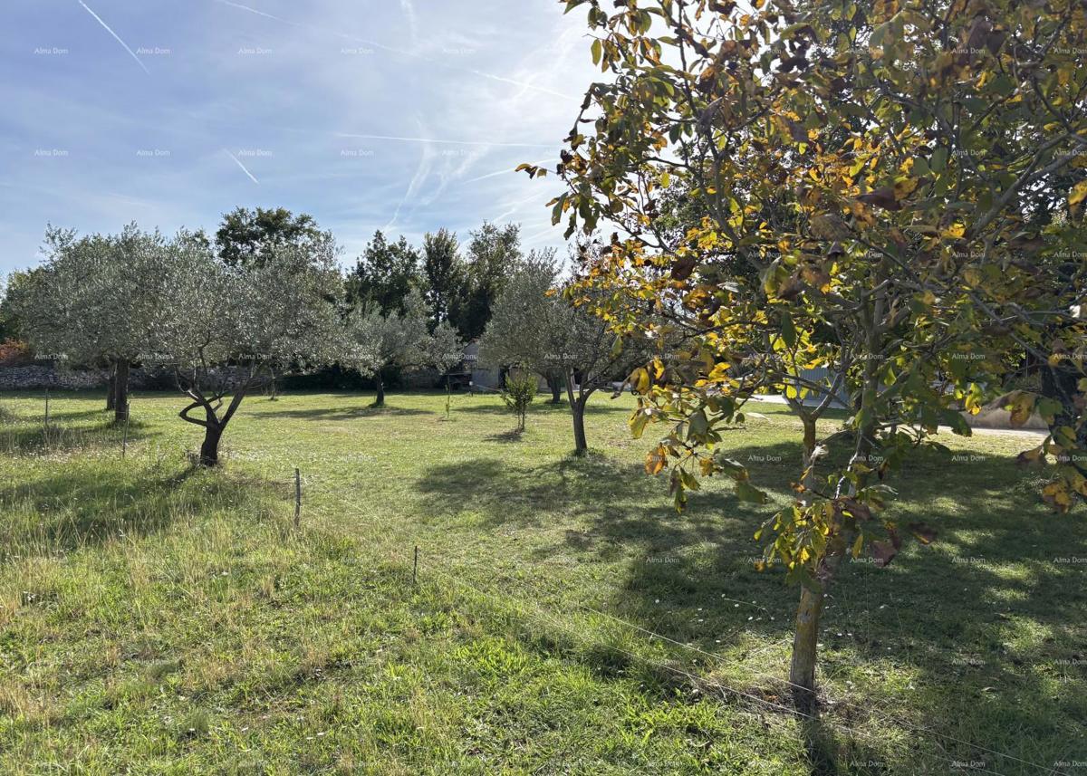 VODNJAN - Prodaja / gradbeno zemljišče približno 700 m2