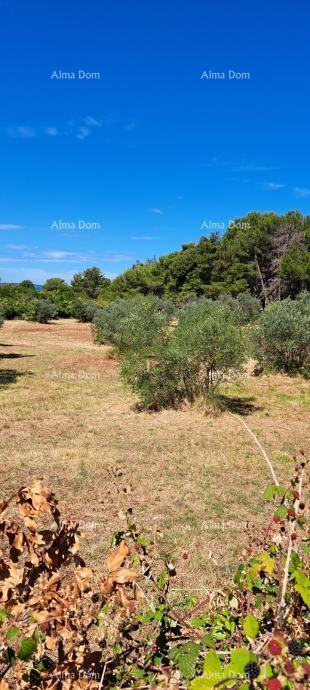 Prodaja kmetijskega zemljišča – Fažana - Peroj