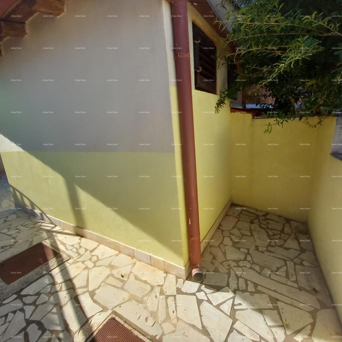 Prodamo caffe bar picerijo v Marčani