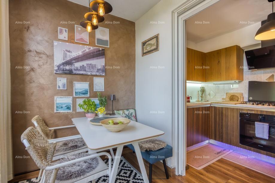 Baderna, Poreč - Stan s dvorištem