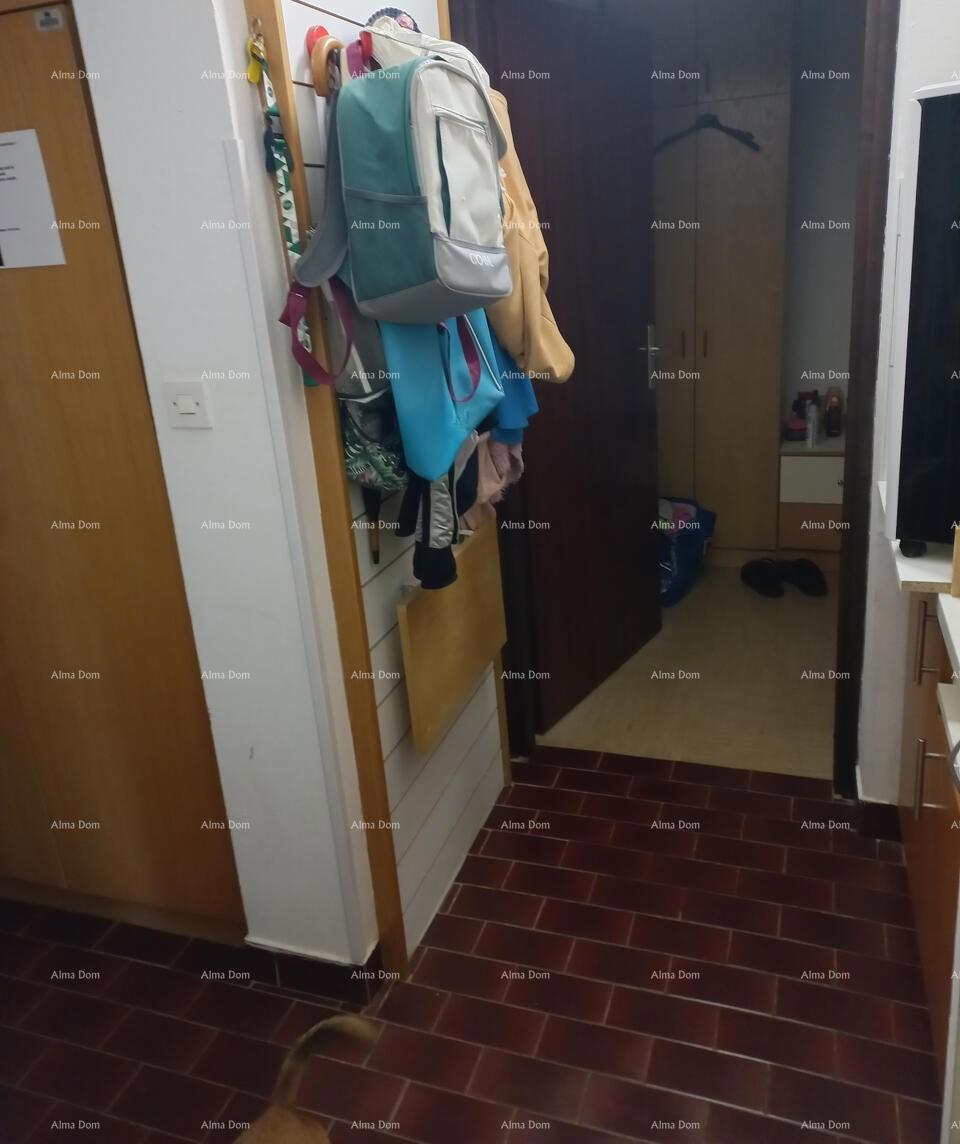 Apartma 32 m2 , Mareda