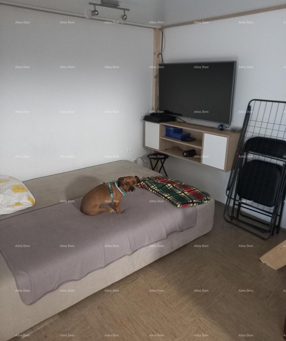 Apartma 32 m2 , Mareda