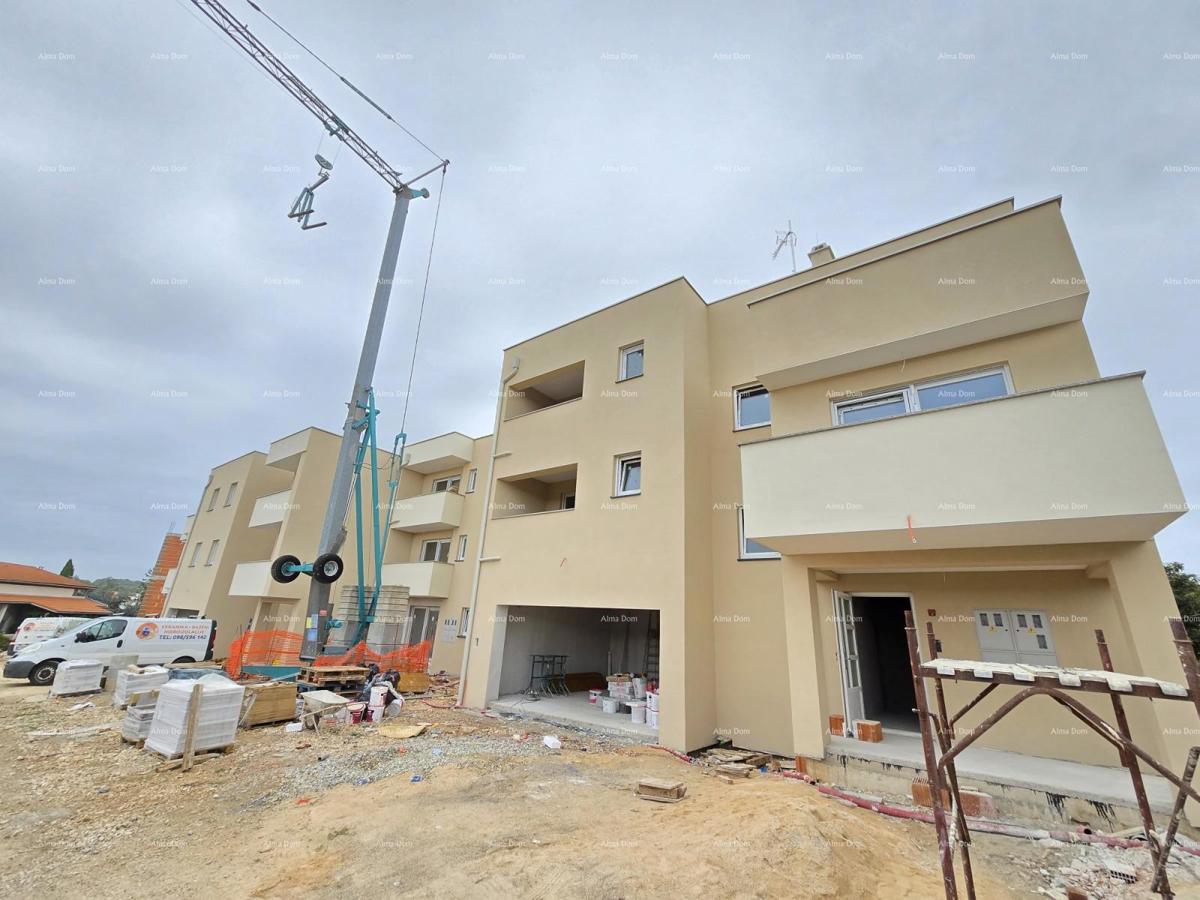 The translation of the title