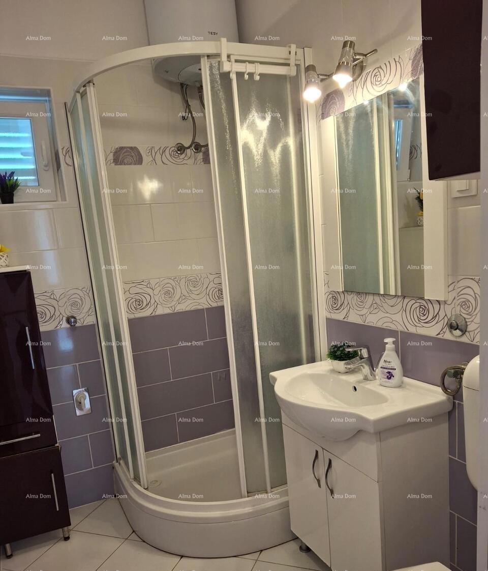 The translation of the title