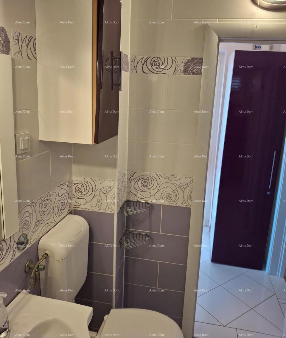 The translation of the title