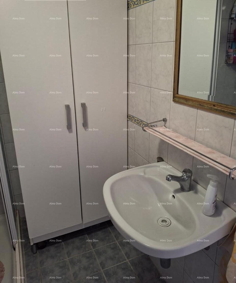 The translation of the title