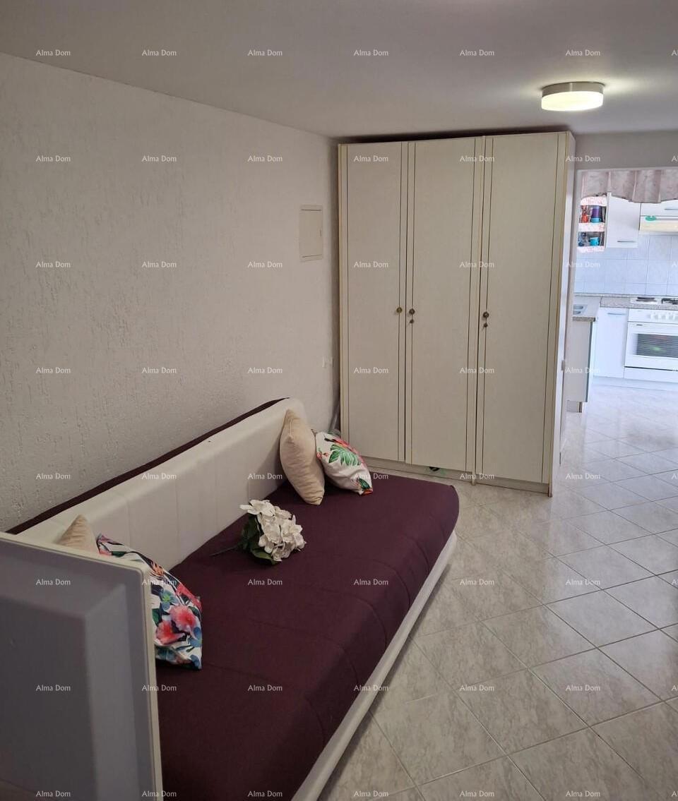 The translation of the title