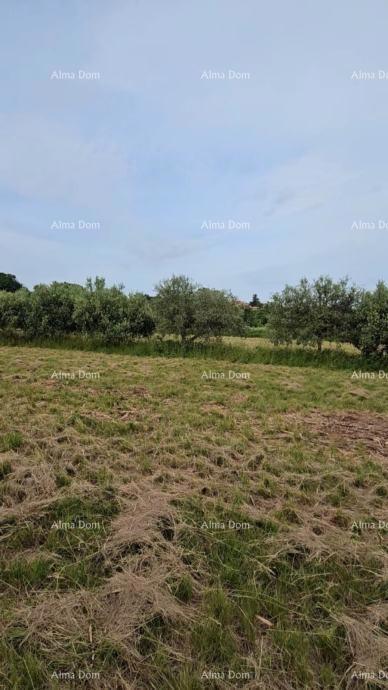 Prodaja - gradbeno zemljišče na lepi lokaciji, Umag!