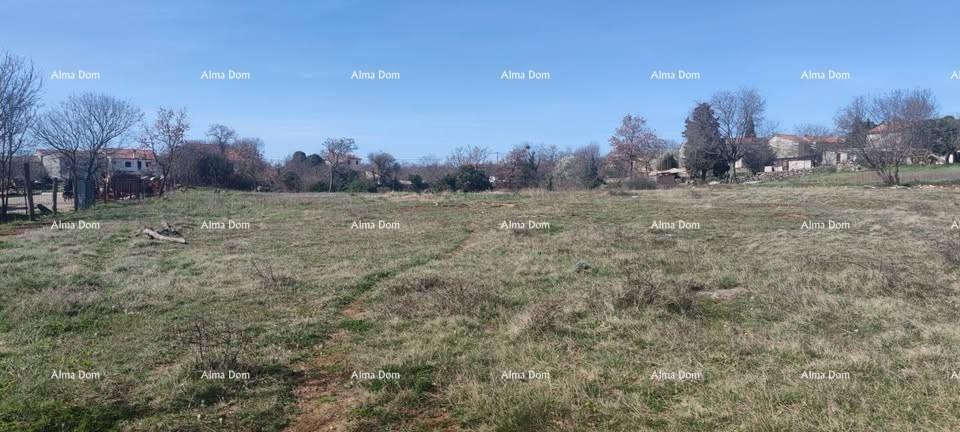 Prodaja gradbenega zemljišča, Filipana