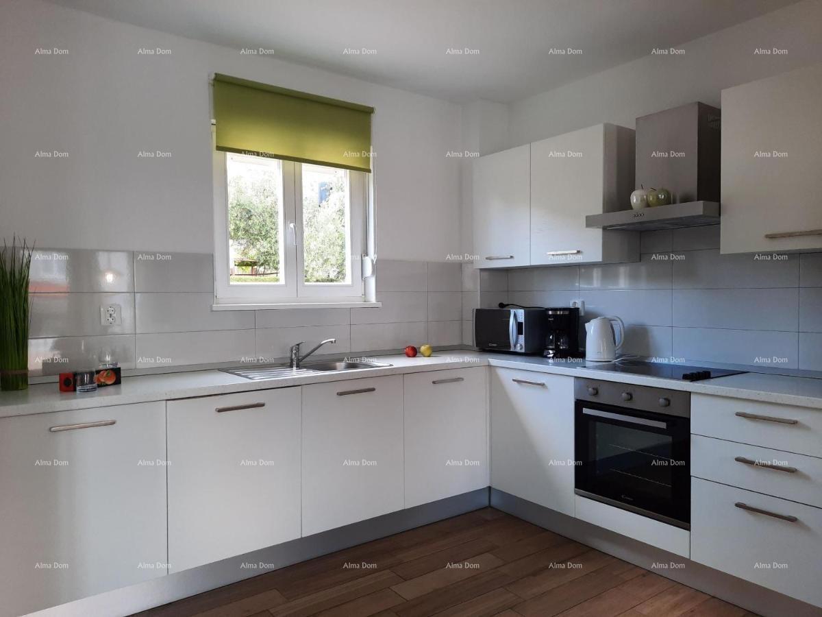 Raša – Vila s privatnim bazenom in vrtom