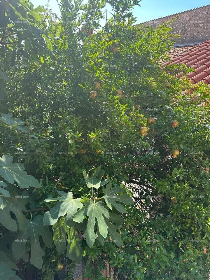 Hiša v centru Pule – 100 m od Arene