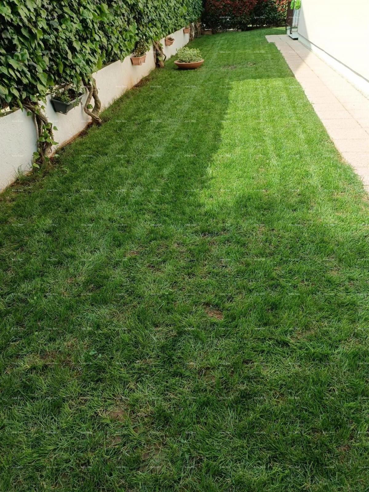 Prostran stan z dvoriščem, Tar