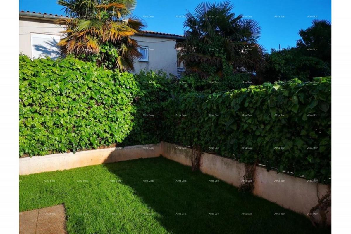 Prostran stan z dvoriščem, Tar