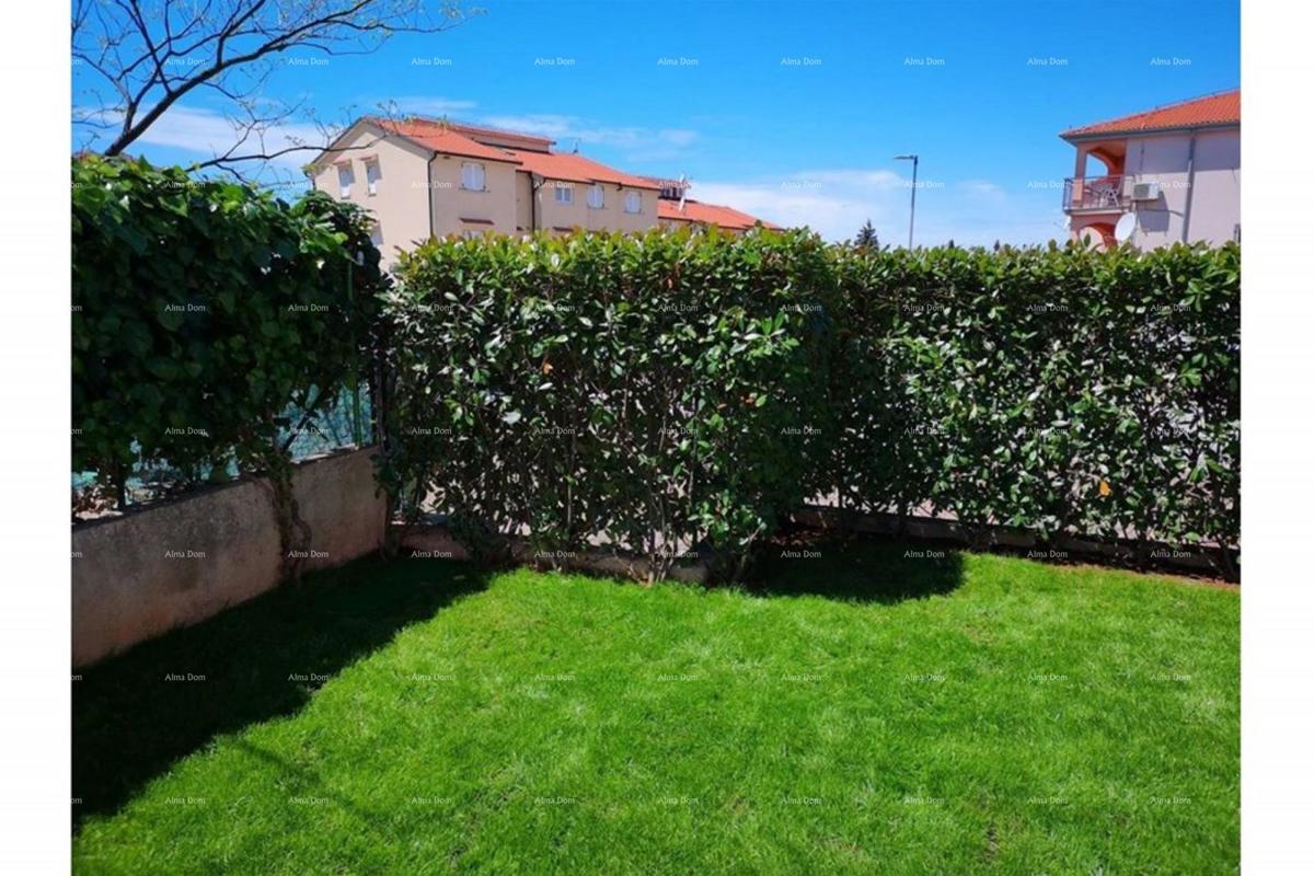 Prostran stan z dvoriščem, Tar