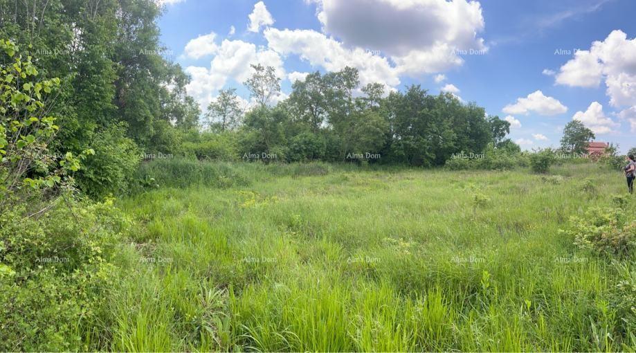 Prodaja građevinskega zemljišča 1246 m2, Tinjan