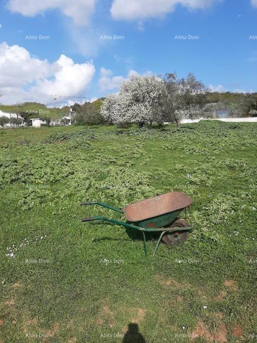 Please provide the title you would like me to translate into Slovenian (slv).