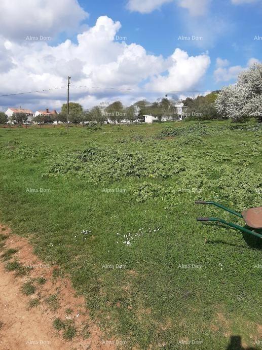 Please provide the title you would like me to translate into Slovenian (slv).