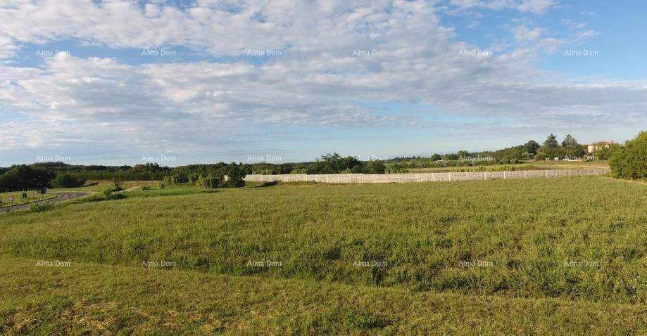 Prodaja građevinskega zemljišča, 7.159 m² – Brtonigla