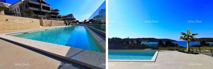 The translation of the title