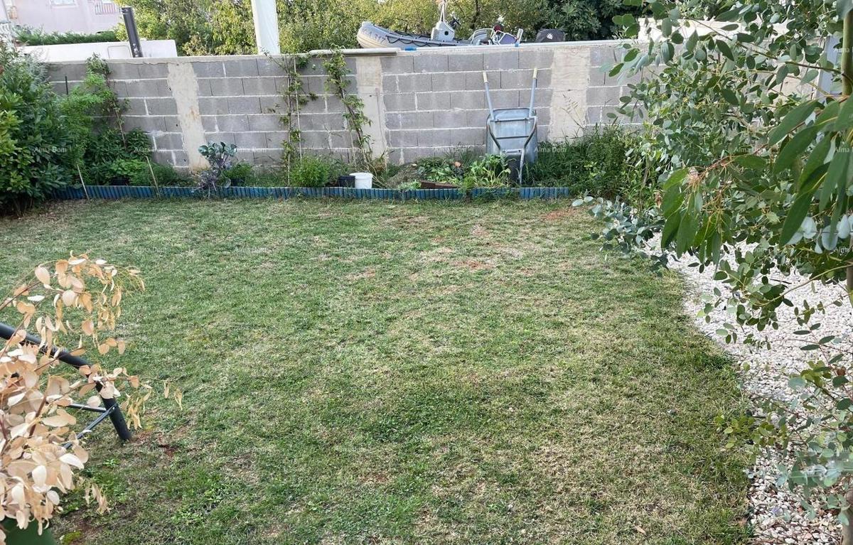 Stan v pritličju z velikim vrtom – Tar