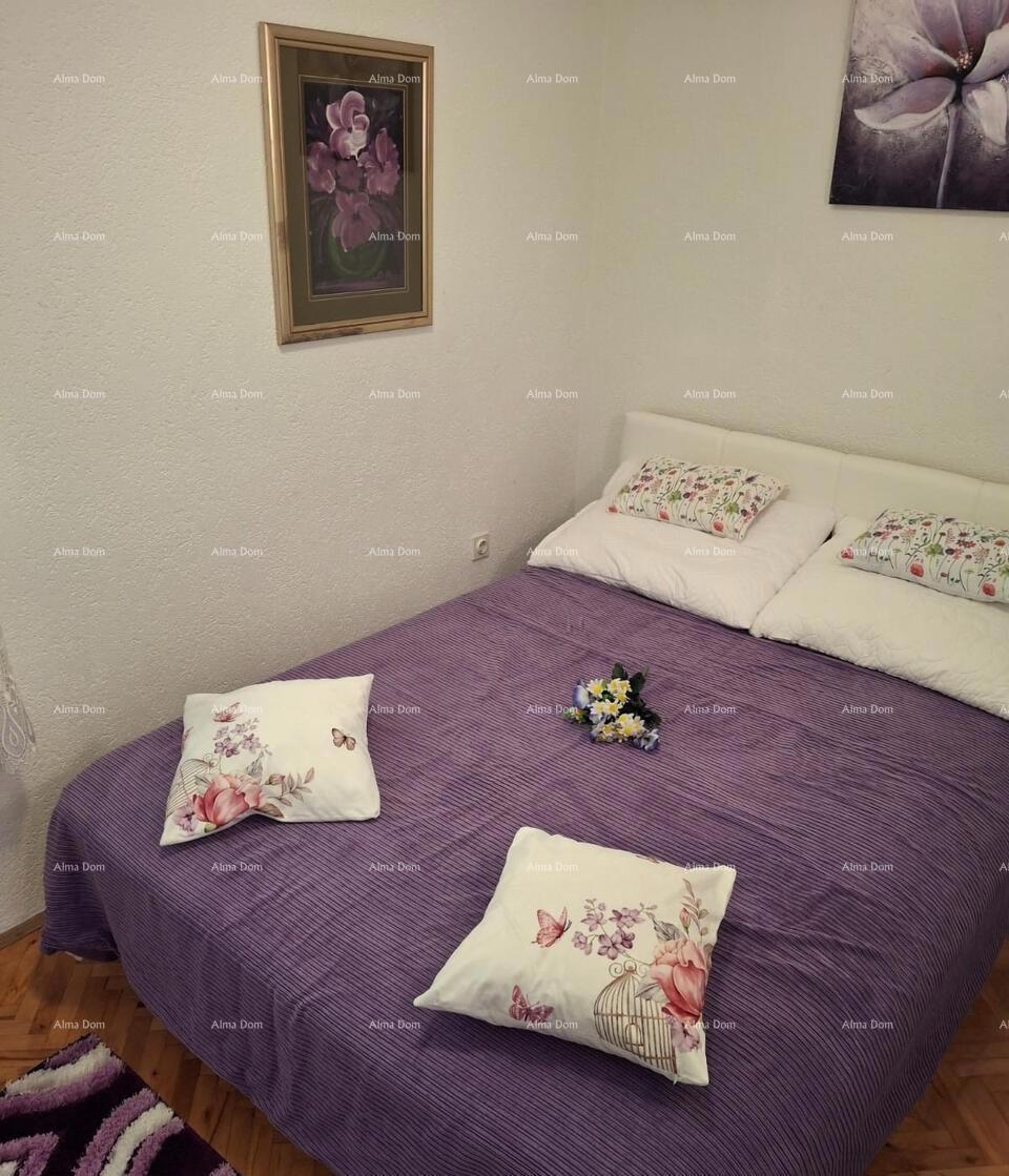 The translation of the title