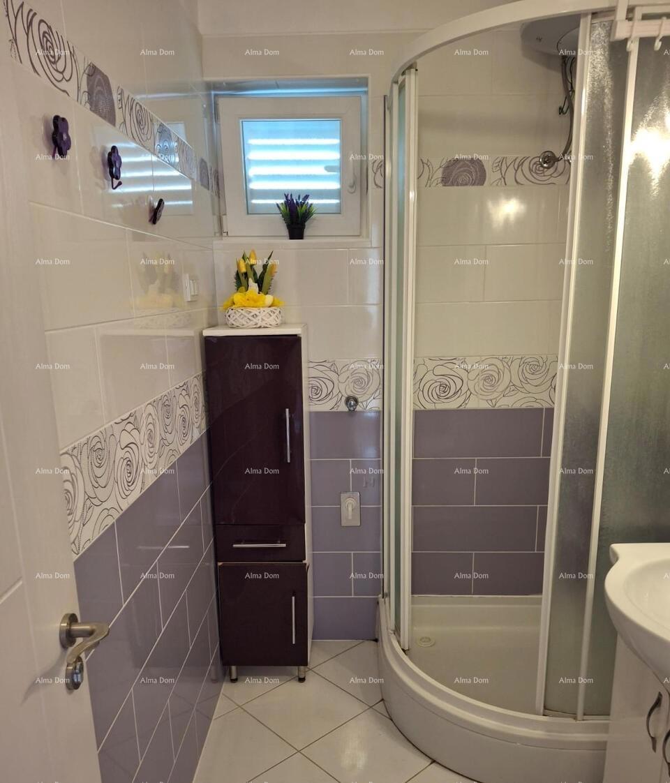 The translation of the title