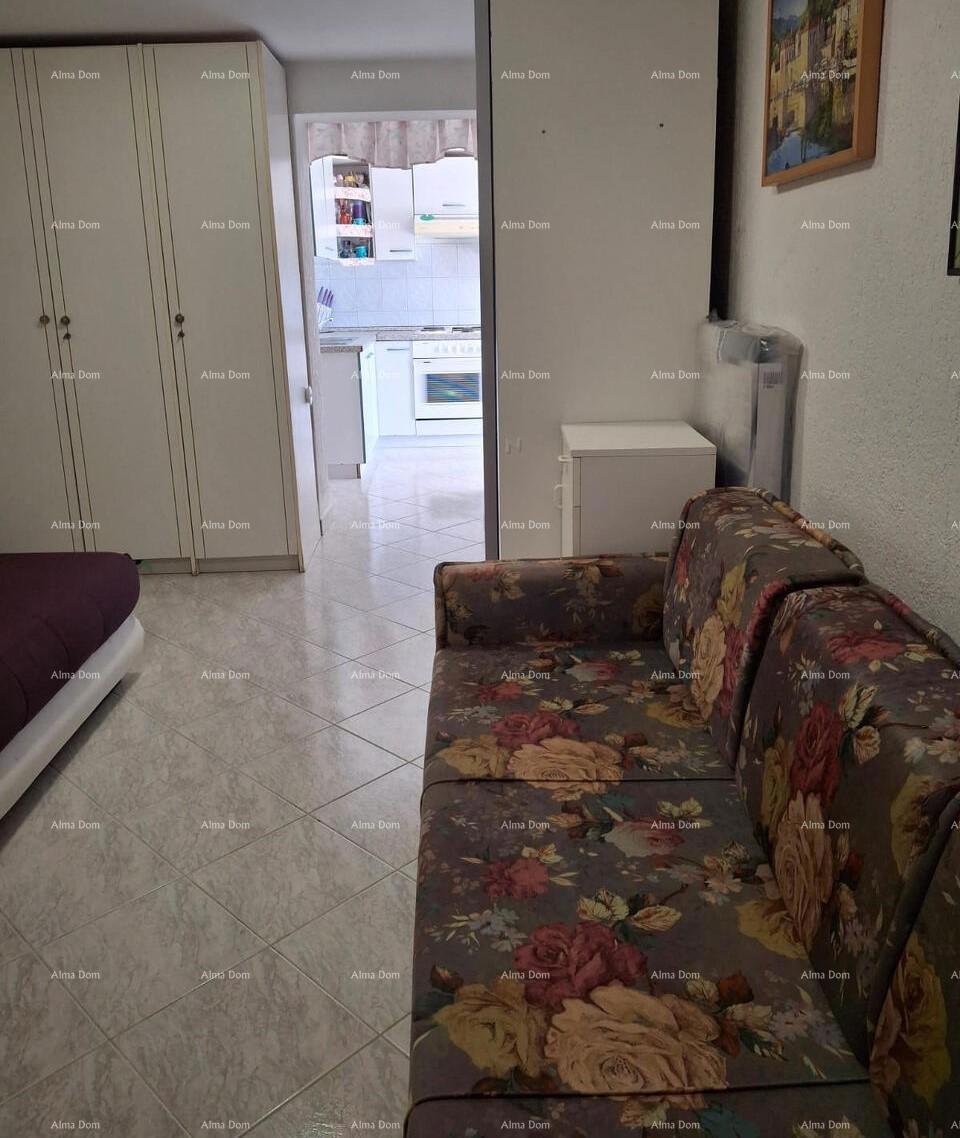 The translation of the title