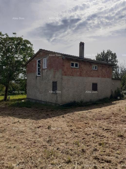 Prodaja hiše z dvema gradbenima parcelama – Tinjan