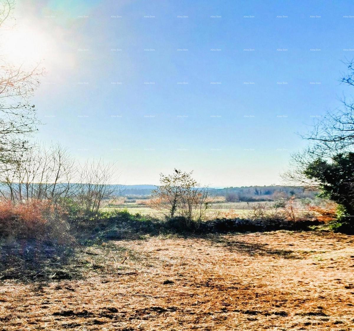 Višnjan – gradbena zemljišča 3.500 m²