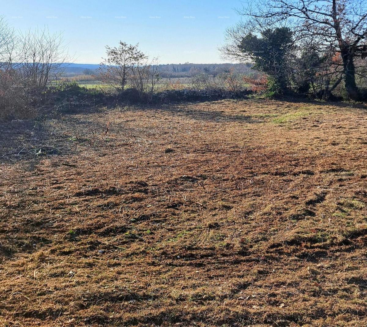 Višnjan – gradbena zemljišča 3.500 m²