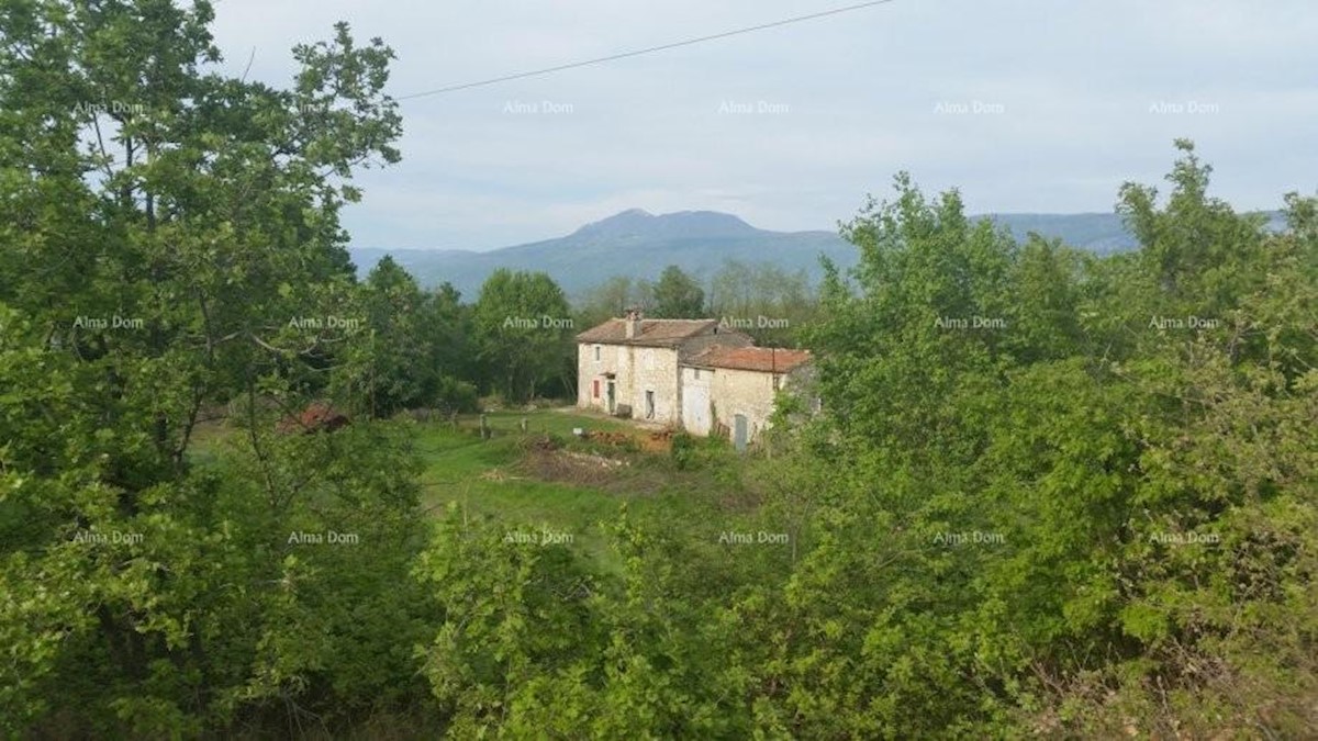 Istrsko posestvo s pogledom na Učko v Kršanu