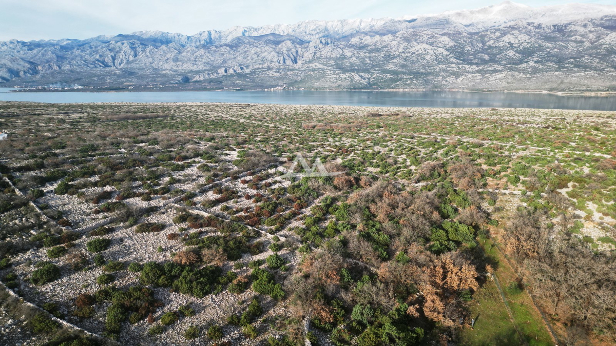 MASLENIČKO ŽDRILO - GRADBENO ZEMLJIŠČE POVRŠINE 615 M2 - PRISTOPNA POT - VODA IN ELEKTRIKA DO ZEMLJIŠČA - 61.500 €