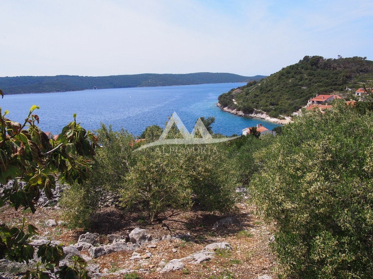 PRVA VRSTA - OTOK ZVERINAC - LEPO ZAZIDLJIVO ZEMLJIŠČE 2.193 M2 - 219.000 €