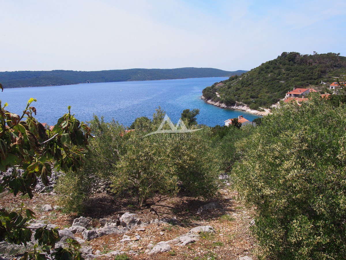 PRVA VRSTA - OTOK ZVERINAC - LEPO ZAZIDLJIVO ZEMLJIŠČE 2.193 M2 - 219.000 €