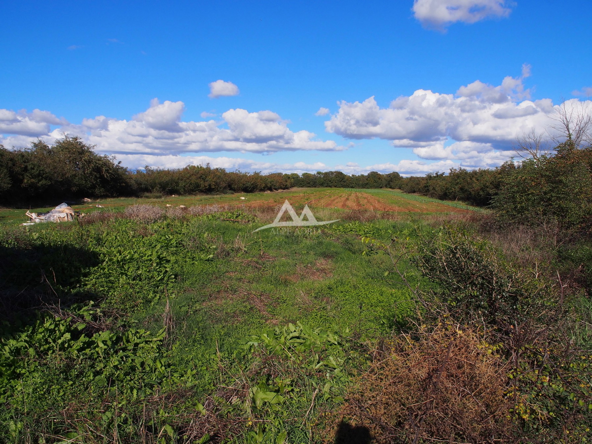 RAŠTANE - ZAZIDLJIVA PARCELA POVRŠINA 9515 M2 - 856.350 €