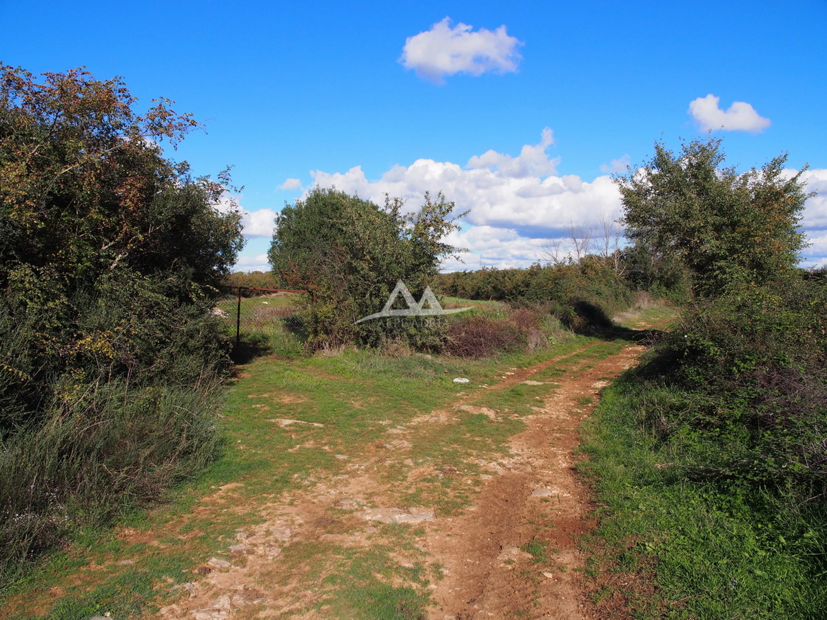 RAŠTANE - ZAZIDLJIVA PARCELA POVRŠINA 9515 M2 - 856.350 €