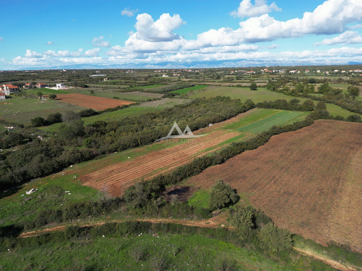 RAŠTANE - ZAZIDLJIVA PARCELA POVRŠINA 9515 M2 - 856.350 €