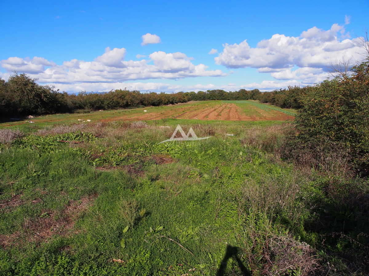 RAŠTANE - ZAZIDLJIVA PARCELA POVRŠINA 9515 M2 - 856.350 €